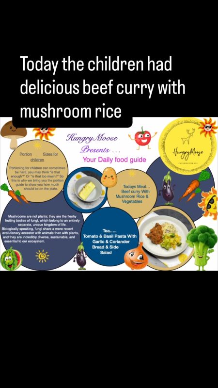 Beef Curry with Mushroom Rice