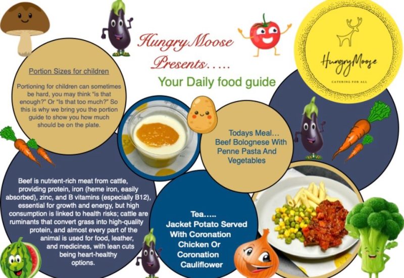 Daily Food Guide – 19 January 2026